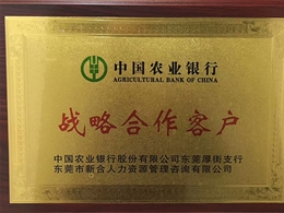 战略合作伙伴